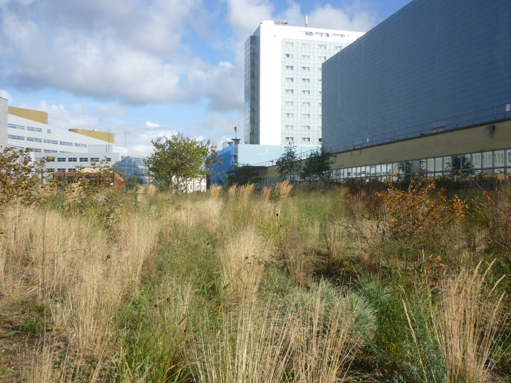 gebouwen in het landschap 